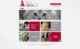 Nouveau Site internet de votre clinique vétérinaire Akkolytes